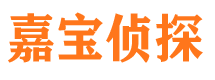 邗江市私家侦探